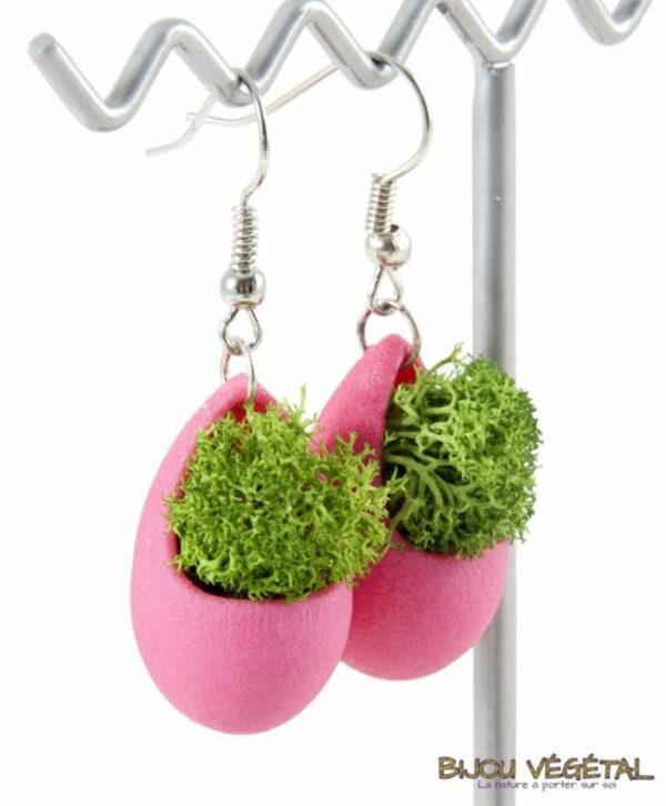 Modern Trendy Natural Earring Succulent Plant Ideas