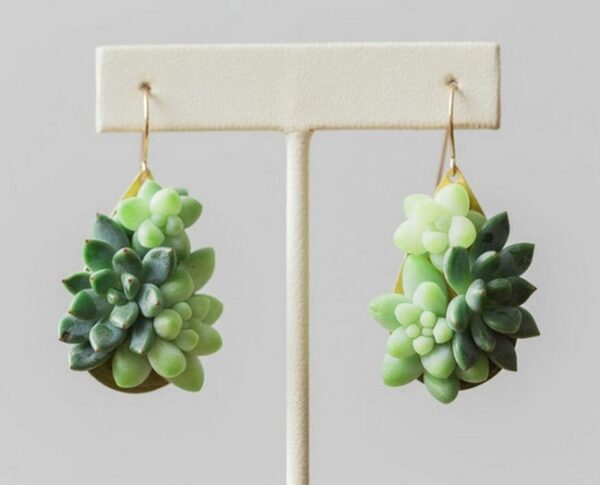 Trendy Succulent Plant Earrings Plant Jewelry